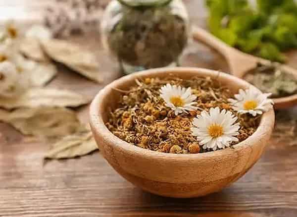 تصویر 4 از خرید بابونه خشک شیرازی + قیمت فروش استثنایی